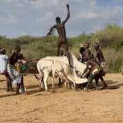 ヒメ日記 2026/01/31 12:30 投稿 さや 東京人妻セレブリティ（ユメオト）