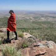 ヒメ日記 2026/02/08 12:30 投稿 さや 東京人妻セレブリティ（ユメオト）