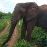 ヒメ日記 2026/03/01 12:30 投稿 さや 東京人妻セレブリティ（ユメオト）