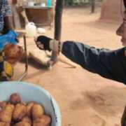 ヒメ日記 2026/03/06 12:30 投稿 さや 東京人妻セレブリティ（ユメオト）