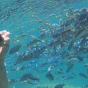 ヒメ日記 2026/03/10 12:31 投稿 さや 東京人妻セレブリティ（ユメオト）