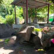 ヒメ日記 2026/04/04 14:49 投稿 さや 東京人妻セレブリティ（ユメオト）