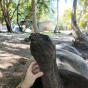 ヒメ日記 2026/04/05 12:31 投稿 さや 東京人妻セレブリティ（ユメオト）