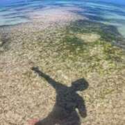 ヒメ日記 2026/04/06 16:31 投稿 さや 東京人妻セレブリティ（ユメオト）