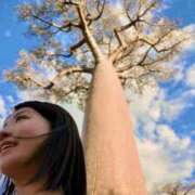 ヒメ日記 2026/04/17 17:30 投稿 さや 東京人妻セレブリティ（ユメオト）