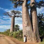 さや 🦋アフリカ縦断旅 Day90 🦋人生の夢がまた一つ叶う 東京人妻セレブリティ（ユメオト）