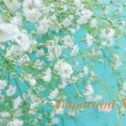 香織（かおり） お知らせです😌 ROYAL FACE FUKUOKA