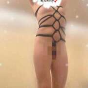 ヒメ日記 2025/03/18 06:38 投稿 松下　ゆかり 未熟な人妻