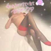 ヒメ日記 2025/11/28 06:48 投稿 松下　ゆかり 未熟な人妻