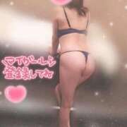 ヒメ日記 2026/04/29 08:08 投稿 松下　ゆかり 未熟な人妻