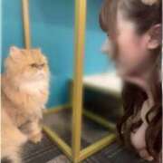 ヒメ日記 2025/08/13 15:36 投稿 めい マリン宇都宮店