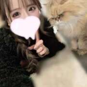 ヒメ日記 2025/12/18 10:17 投稿 めい マリン宇都宮店