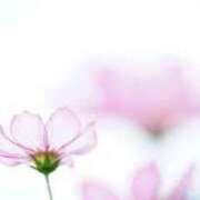 おとは 10時30分にC.でご予約してくださったお客様へ 北九州人妻倶楽部（三十路、四十路、五十路）