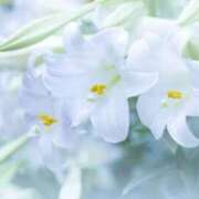 ヒメ日記 2026/01/25 17:07 投稿 おとは 北九州人妻倶楽部（三十路、四十路、五十路）