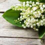 ヒメ日記 2026/03/03 05:38 投稿 おとは 北九州人妻倶楽部（三十路、四十路、五十路）