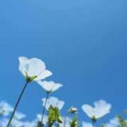 ヒメ日記 2026/03/03 14:57 投稿 おとは 北九州人妻倶楽部（三十路、四十路、五十路）