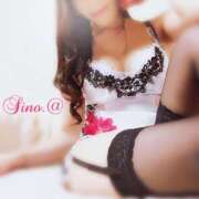 ヒメ日記 2025/11/19 20:45 投稿 すめらぎ　しの DIVA-ディーバ-【DIVAグループ】