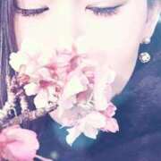 ヒメ日記 2026/04/07 17:44 投稿 すめらぎ　しの DIVA-ディーバ-【DIVAグループ】