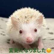 五彩 金曜日の時間変更になりました😊 PLUS梅田店