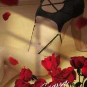 ヒメ日記 2026/03/11 09:32 投稿 五彩 PLUS梅田店