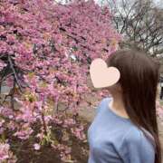 ヒメ日記 2025/03/22 12:04 投稿 ♪ゆみ♪ 水色りぼん