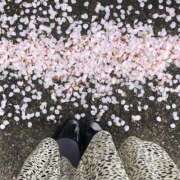 ヒメ日記 2025/04/01 10:13 投稿 あやな 横浜しこたまクリニック