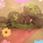 ヒメ日記 2025/02/22 10:10 投稿 鈴木なみ すべりん棒シャンプー娘。（横浜ハレ系）