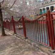 ヒメ日記 2025/03/30 11:48 投稿 鈴木なみ すべりん棒シャンプー娘。（横浜ハレ系）