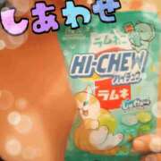 ヒメ日記 2026/02/20 10:56 投稿 鈴木なみ すべりん棒シャンプー娘。（横浜ハレ系）