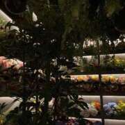 ヒメ日記 2025/04/30 01:38 投稿 みき 札幌回春性感マッサージ倶楽部