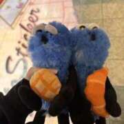 ちひろ スンスンBIGLOVE(猫) 中洲秘密倶楽部