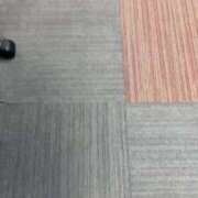 ヒメ日記 2024/12/15 14:54 投稿 燕-つばめ MSC 妄想紳士倶楽部 鶯谷店