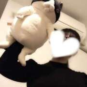 ヒメ日記 2025/04/20 02:34 投稿 燕-つばめ MSC 妄想紳士倶楽部 鶯谷店