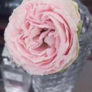 ヒメ日記 2024/12/27 00:06 投稿 千代田周子(ちよだしゅうこ) 五十路マダムエクスプレス厚木店(カサブランカグループ)