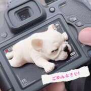 ヒメ日記 2025/01/12 20:46 投稿 千代田周子(ちよだしゅうこ) 五十路マダムエクスプレス厚木店(カサブランカグループ)