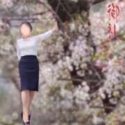 ヒメ日記 2025/04/13 07:06 投稿 千代田周子(ちよだしゅうこ) 五十路マダムエクスプレス厚木店(カサブランカグループ)