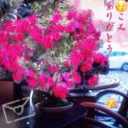 ヒメ日記 2025/05/25 22:40 投稿 千代田周子(ちよだしゅうこ) 五十路マダムエクスプレス厚木店(カサブランカグループ)