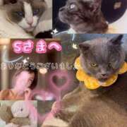 ヒメ日記 2025/07/29 00:18 投稿 千代田周子(ちよだしゅうこ) 五十路マダムエクスプレス厚木店(カサブランカグループ)