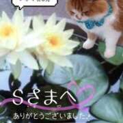 ヒメ日記 2025/10/19 21:10 投稿 千代田周子(ちよだしゅうこ) 五十路マダムエクスプレス厚木店(カサブランカグループ)