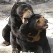 ひかり アーバンベア2025 熟女家 東大阪店（布施・長田）