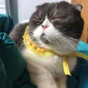 ひかり ウズウズ💓💓 熟女家 東大阪店（布施・長田）