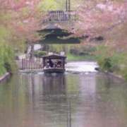 ヒメ日記 2026/03/28 09:15 投稿 ひかり 熟女家 東大阪店（布施・長田）