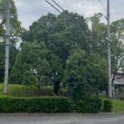 ヒメ日記 2026/07/26 09:25 投稿 ひかり 熟女家 東大阪店（布施・長田）