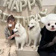 ヒメ日記 2025/06/03 06:28 投稿 リナ 阿AUN呍(あうん)