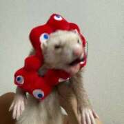 ヒメ日記 2025/07/10 07:28 投稿 リナ 阿AUN呍(あうん)