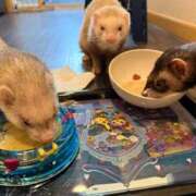 ヒメ日記 2026/03/26 06:50 投稿 リナ 阿AUN呍(あうん)