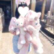 ヒメ日記 2025/05/10 06:30 投稿 めな ハピネス東京