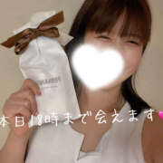 ヒメ日記 2025/10/03 05:37 投稿 めな ハピネス東京