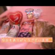 ヒメ日記 2026/02/07 20:47 投稿 めな ハピネス東京