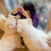 ヒメ日記 2026/03/22 20:43 投稿 めな ハピネス東京